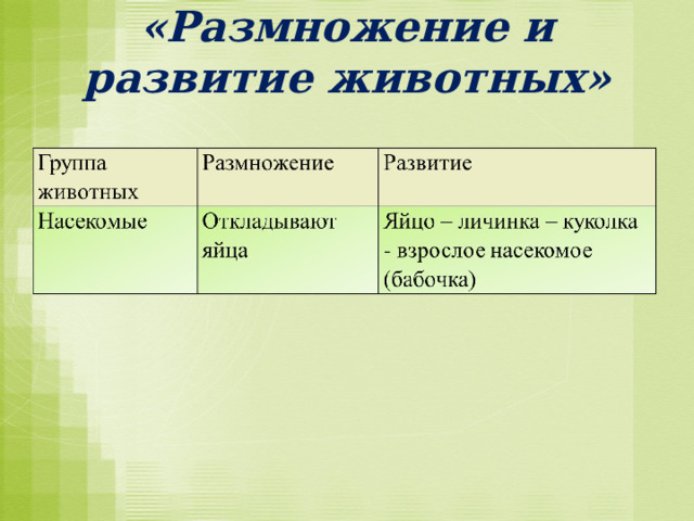 «Размножение и развитие животных»   