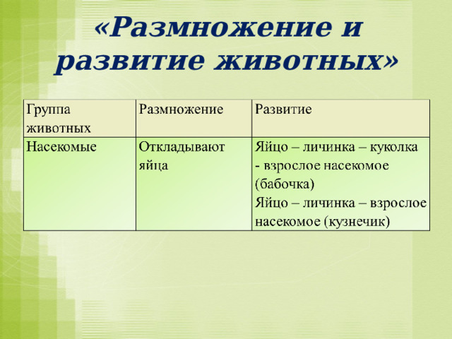 «Размножение и развитие животных» 