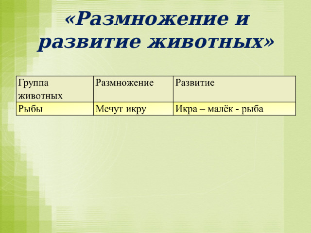 «Размножение и развитие животных» 