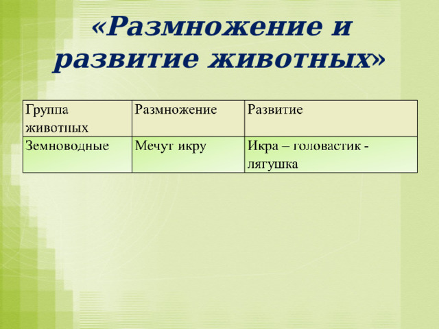 «Размножение и развитие животных » 