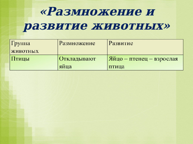 «Размножение и развитие животных» 