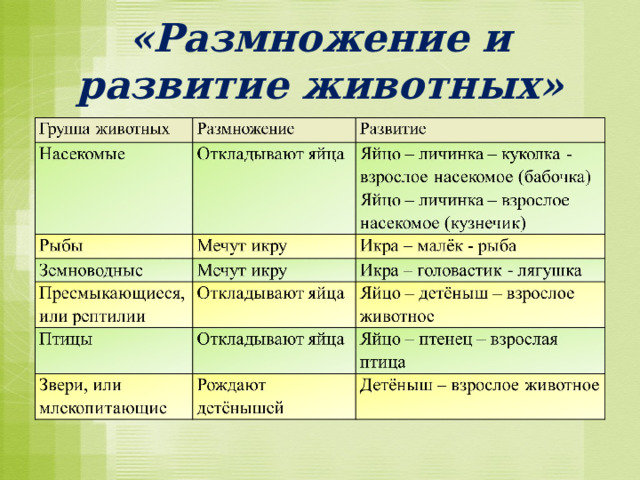«Размножение и развитие животных» 