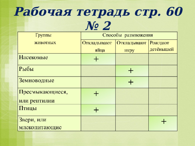 Рабочая тетрадь стр. 60 № 2 