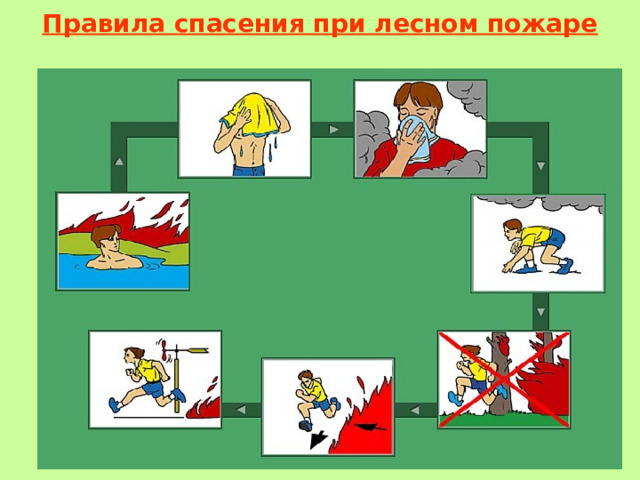 Правила спасения при лесном пожаре  