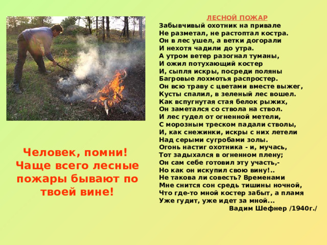 ЛЕСНОЙ ПОЖАР  Забывчивый охотник на привале Не разметал, не растоптал костра. Он в лес ушел, а ветки догорали И нехотя чадили до утра. А утром ветер разогнал туманы, И ожил потухающий костер И, сыпля искры, посреди поляны Багровые лохмотья распростер. Он всю траву с цветами вместе выжег, Кусты спалил, в зеленый лес вошел. Как вспугнутая стая белок рыжих, Он заметался со ствола на ствол. И лес гудел от огненной метели, С морозным треском падали стволы, И, как снежинки, искры с них летели Над серыми сугробами золы. Огонь настиг охотника - и, мучась, Тот задыхался в огненном плену; Он сам себе готовил эту участь,- Но как он искупил свою вину!.. Не такова ли совесть? Временами Мне снится сон средь тишины ночной, Что где-то мной костер забыт, а пламя Уже гудит, уже идет за мной... Вадим Шефнер /1940г./ Человек, помни!  Чаще всего лесные пожары бывают по твоей вине! 