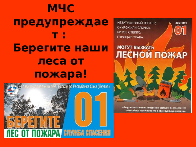 МЧС предупреждает :  Берегите наши леса от пожара! 