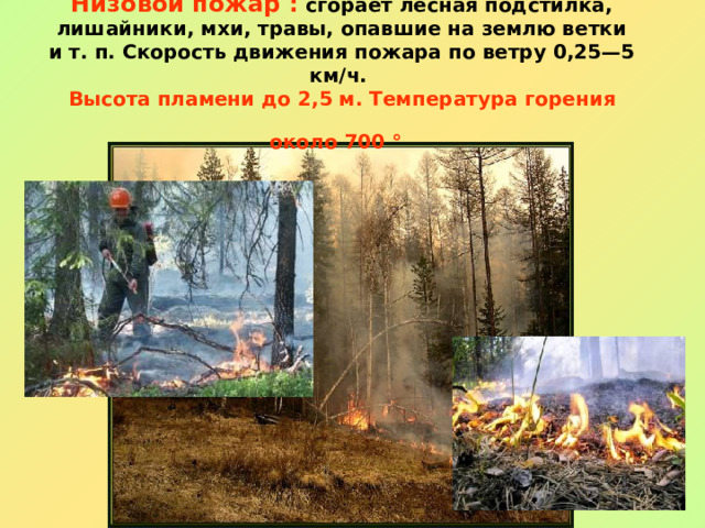  Низовой пожар :  сгорает лесная подстилка, лишайники, мхи, травы, опавшие на землю ветки и т. п. Скорость движения пожара по ветру 0,25—5 км/ч.  Высота пламени до 2,5 м.  Температура горения около 700 °  