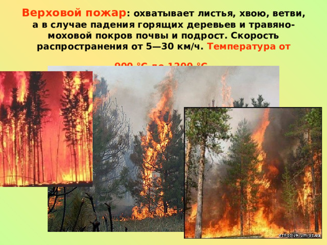 Верховой пожар : охватывает листья, хвою, ветви, а в случае падения горящих деревьев и травяно-моховой покров почвы и подрост. Скорость распространения от 5—30 км/ч. Температура от 900 °C до 1200 °C  