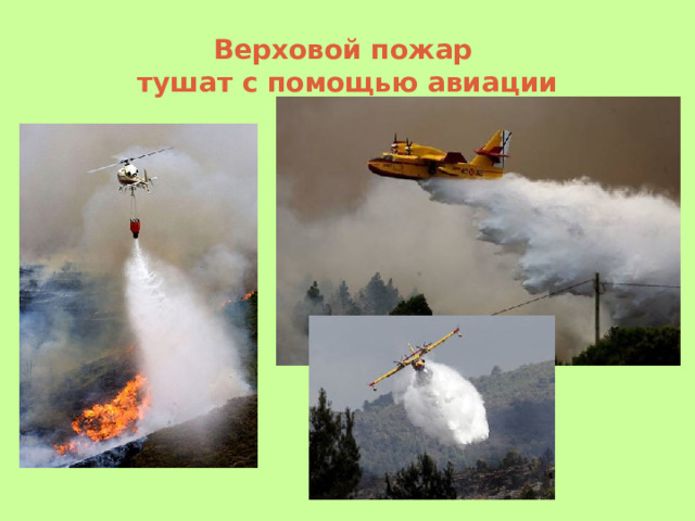 Верховой пожар  тушат с помощью авиации 