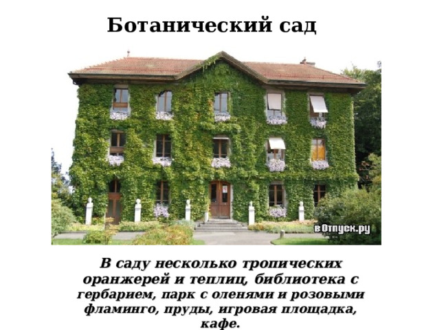  Ботанический сад В саду несколько тропических оранжерей и теплиц, библиотека с гербарием, парк с оленями и розовыми фламинго, пруды, игровая площадка, кафе.  
