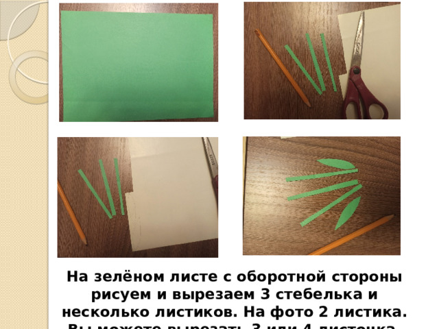 На зелёном листе с оборотной стороны рисуем и вырезаем 3 стебелька и несколько листиков. На фото 2 листика. Вы можете вырезать 3 или 4 листочка. 