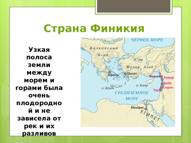 Страна Финикия Узкая полоса земли между морем и горами была очень плодородной и не зависела от рек и их разливов 