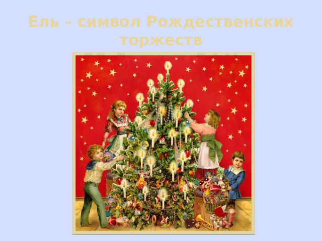 Ель – символ Рождественских торжеств 