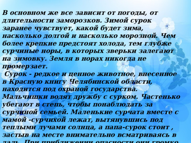  В основном же все зависит от погоды, от длительности заморозков. Зимой сурок заранее чувствует, какой будет зима, насколько долгой и насколько морозной. Чем более крепкие предстоят холода, тем глубже сурчиные норы, в которых зверьки залегают на зимовку. Земля в норах никогда не промерзает.  Сурок - редкое и ценное животное, внесенное в Красную книгу Челябинской области, находится под охраной государства. Мальчишки водят дружбу с сурком. Частенько убегают в степь, чтобы понаблюдать за сурчиной семьей. Маленькие сурчата вместе с мамой -сурчихой лежат, вытянувшись под теплыми лучами солнца, а папа-сурок стоит , застыв на месте внимательно всматриваясь в даль. При приближении опасности они громко кричат. Их крики похожи на крики младенцев, а по щечкам – бегут слезы. Ребята не трогают этих милых животных. Они помнят историю Белогрудки и ее детенышей из рассказа В.П.Астафьева «Белогрудка».  