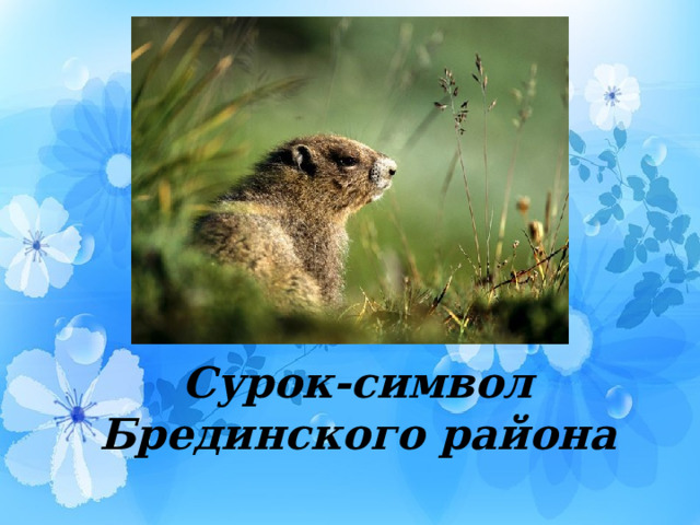 Сурок-символ Брединского района 