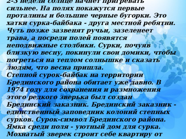 Конец февраля. Под теплым пушистым одеялом тихо спит Брединская земля. Через 2-3 недели солнце начнет пригревать сильнее. На полях покажутся первые проталины и большие черные бугорки. Это хатки сурка-байбака - друга местной ребятни. Чуть позже зазвенят ручьи, зазеленеет трава, а посреди полей появятся неподвижные столбики. Сурки, почуяв близкую весну, покинули свои домики, чтобы погреться на теплом солнышке и сказать людям, что весна пришла. Степной сурок-байбак на территории Брединского района обитает уже давно. В 1974 году для сохранения и размножения этого редкого зверька был создан Брединский заказник. Брединский заказник - единственный заповедник колоний степных сурков. Сурок-символ Брединского района. Ямка среди поля - уютный дом для сурка. Мохнатый зверек строит себе квартиру от трех до семи метров в глубину. Их пища – целебные травы, поэтому сурку сложно выбрать себе место жительства.  
