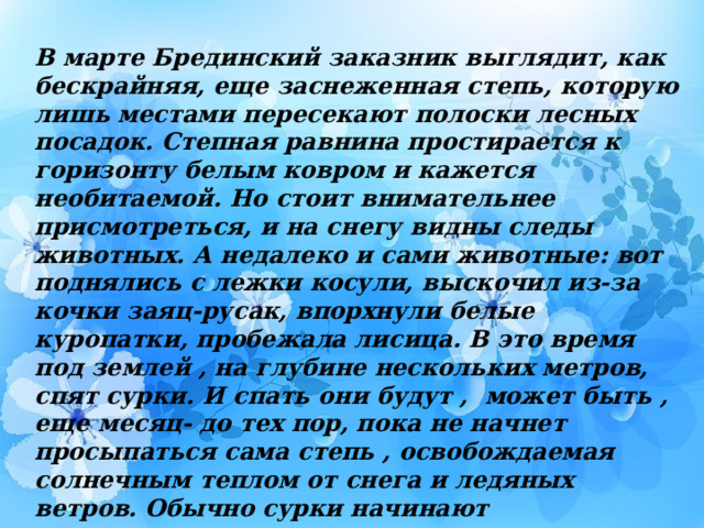 В марте Брединский заказник выглядит, как бескрайняя, еще заснеженная степь, которую лишь местами пересекают полоски лесных посадок. Степная равнина простирается к горизонту белым ковром и кажется необитаемой. Но стоит внимательнее присмотреться, и на снегу видны следы животных. А недалеко и сами животные: вот поднялись с лежки косули, выскочил из-за кочки заяц-русак, впорхнули белые куропатки, пробежала лисица. В это время под землей , на глубине нескольких метров, спят сурки. И спать они будут , может быть , еще месяц- до тех пор, пока не начнет просыпаться сама степь , освобождаемая солнечным теплом от снега и ледяных ветров. Обычно сурки начинают показываться из нор в марте – апреле. Зверьки выходят на поверхность, как только начинает стаивать снег и обнажаться первая земля. 