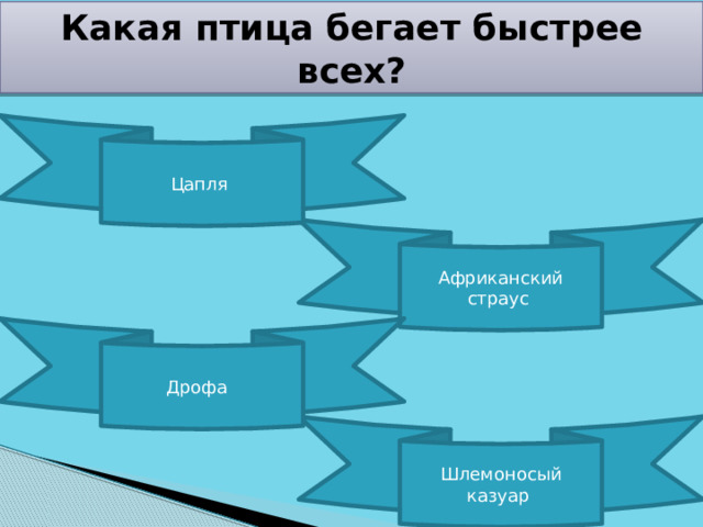 Какая птица бегает быстрее всех? Цапля Африканский страус Дрофа Шлемоносый казуар 