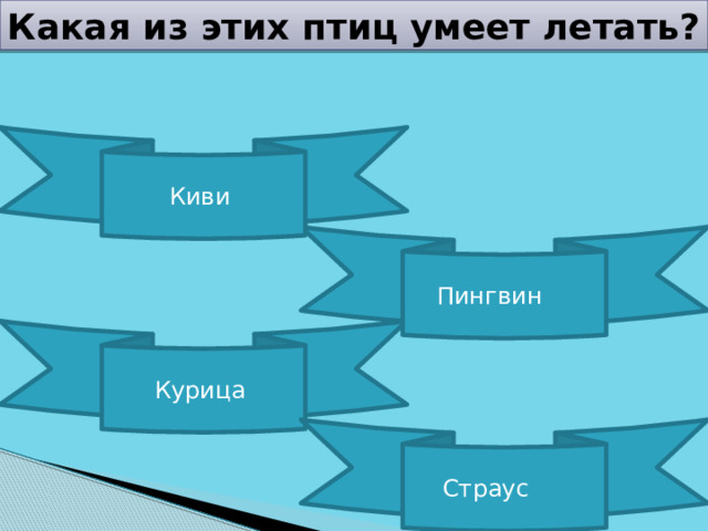 Какая из этих птиц умеет летать? Киви Пингвин Курица Страус 