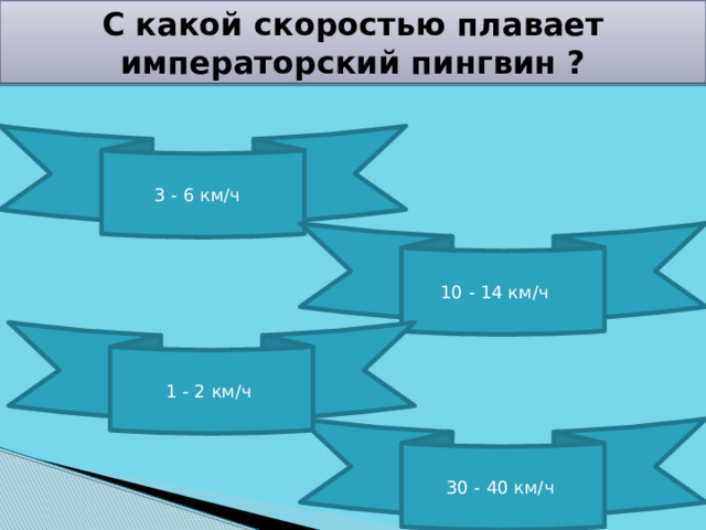С какой скоростью плавает императорский пингвин ? 3 - 6 км/ч 10 - 14 км/ч 1 - 2 км/ч 30 - 40 км/ч 