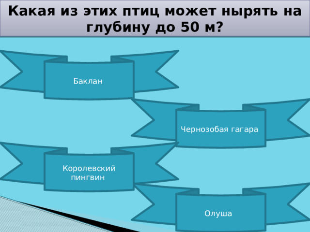 Какая из этих птиц может нырять на глубину до 50 м? Баклан Чернозобая гагара Королевский пингвин Олуша 