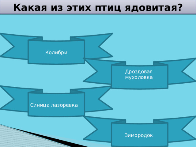 Какая из этих птиц ядовитая? Колибри Дроздовая мухоловка Синица лазоревка Зимородок 
