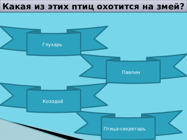Какая из этих птиц охотится на змей? Глухарь Павлин Козодой Птица-секретарь  