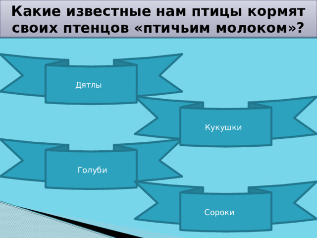 Какие известные нам птицы кормят своих птенцов «птичьим молоком»? Дятлы Кукушки  Голуби Сороки 