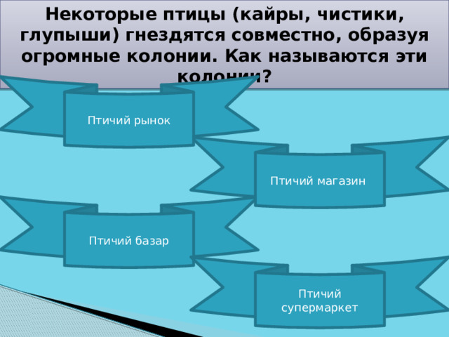 Некоторые птицы (кайры, чистики, глупыши) гнездятся совместно, образуя огромные колонии. Как называются эти колонии? Птичий рынок Птичий магазин Птичий базар Птичий супермаркет 
