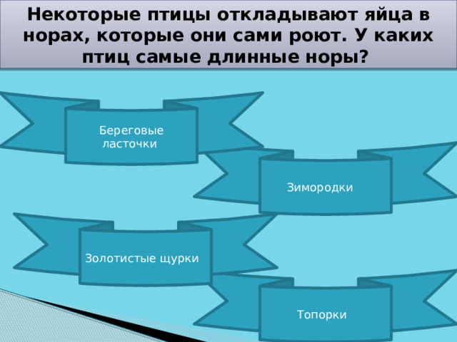 Некоторые птицы откладывают яйца в норах, которые они сами роют. У каких птиц самые длинные норы? Береговые ласточки Зимородки Золотистые щурки Топорки 