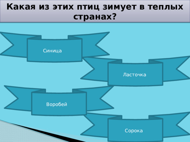 Какая из этих птиц зимует в теплых странах? Синица Ласточка Воробей Сорока 