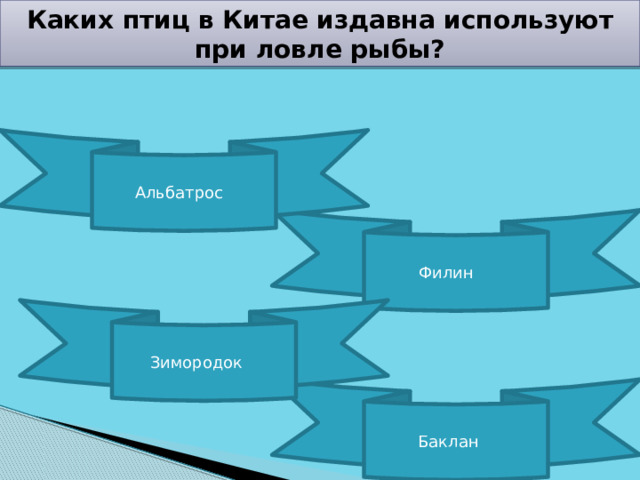 Каких птиц в Китае издавна используют при ловле рыбы? Альбатрос Филин Зимородок Баклан 