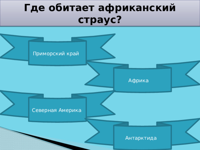 Где обитает африканский страус? Приморский край Африка Северная Америка Антарктида 