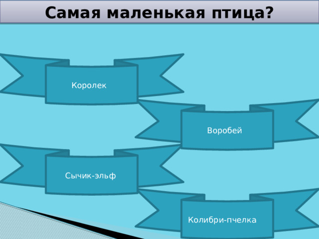 Самая маленькая птица? Королек Воробей Сычик-эльф Колибри-пчелка 