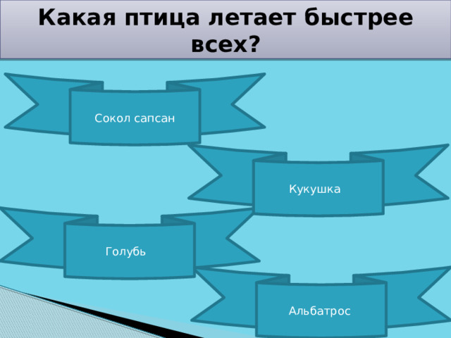 Какая птица летает быстрее всех? Сокол сапсан Кукушка Голубь Альбатрос 