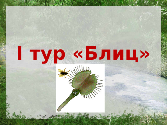 I тур «Блиц» 