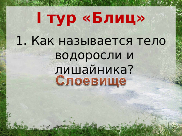 I тур «Блиц» 1. Как называется тело водоросли и лишайника? 