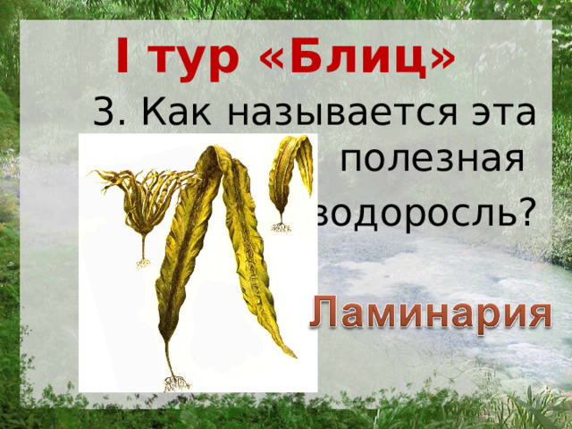 I тур «Блиц» 3. Как называется эта полезная водоросль? 