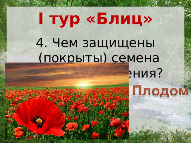 I тур «Блиц» 4. Чем защищены (покрыты) семена данного растения? 