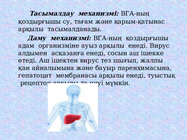  Тасымалдау ме x анизмі: ВГА-ның қоздырғышы су, тағам және қарым-қатынас арқылы тасымалданады.  Даму ме x анизмі: ВГА-ның қоздырғышы адам организміне ауыз арқылы енеді. Вирус алдымен асқазанға енеді, сосын аш ішекке өтеді. Аш ішектен вирус тез шығып, жалпы қан айналымына және бауыр парен x имасына, гепатоцит мембранасы арқылы енеді, туыстық рецептор арқылы да енуі мүмкін. 