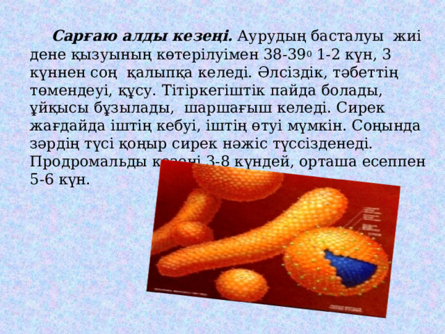  Сарғаю алды кезеңі. Аурудың басталуы жиі дене қызуының көтерілуімен 38-39 0 1-2 күн, 3 күннен соң қалыпқа келеді. Әлсіздік, тәбеттің төмендеуі, құсу. Тітіркегіштік пайда болады, ұйқысы бұзылады, шаршағыш келеді. Сирек жағдайда іштің кебуі, іштің өтуі мүмкін. Соңында зәрдің түсі қоңыр сирек нәжіс түссізденеді. Продромальды кезеңі 3-8 күндей, орташа есеппен 5-6 күн. 