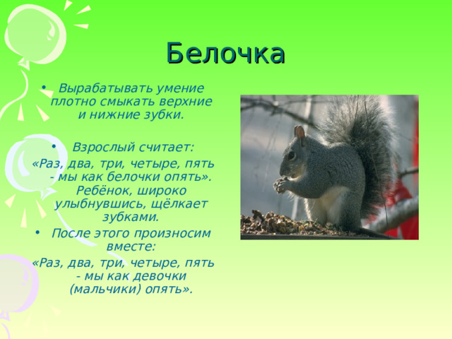 Белочка Вырабатывать умение плотно смыкать верхние и нижние зубки.     Взрослый считает: «Раз, два, три, четыре, пять - мы как белочки опять». Ребёнок, широко улыбнувшись, щёлкает зубками. После этого произносим вместе: «Раз, два, три, четыре, пять - мы как девочки (мальчики) опять».  