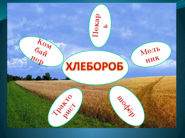 Мель ник Пекарь Ком бай Тракто нер рист шофёр  