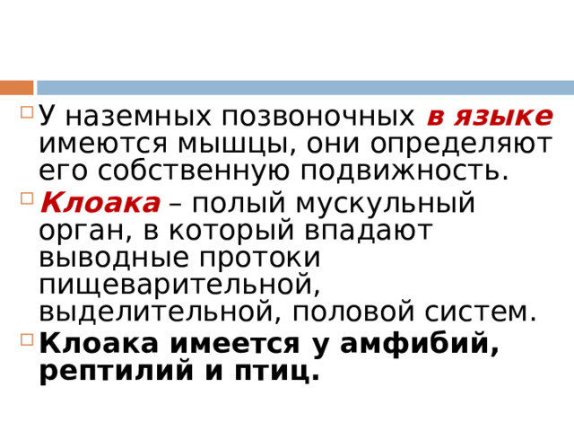 У наземных позвоночных в языке имеются мышцы, они определяют его собственную подвижность. Клоака – полый мускульный орган, в который впадают выводные протоки пищеварительной, выделительной, половой систем. Клоака имеется у амфибий, рептилий и птиц. 