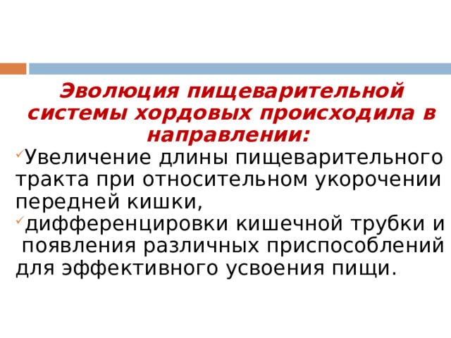 Эволюция пищеварительной системы хордовых происходила в направлении: Увеличение длины пищеварительного тракта при относительном укорочении передней кишки, дифференцировки кишечной трубки и появления различных приспособлений для эффективного усвоения пищи. 