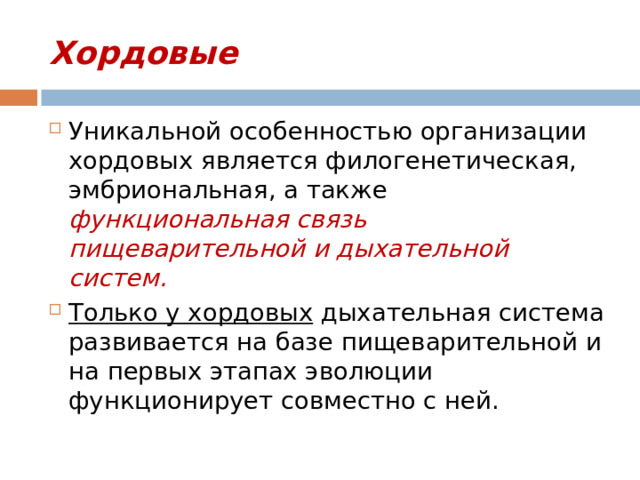 Хордовые Уникальной особенностью организации хордовых является филогенетическая, эмбриональная, а также функциональная связь пищеварительной и дыхательной систем. Только у хордовых дыхательная система развивается на базе пищеварительной и на первых этапах эволюции функционирует совместно с ней. 