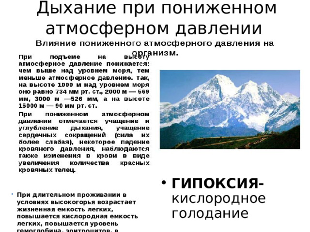Дыхание при пониженном атмосферном давлении ГИПОКСИЯ- кислородное голодание При длительном проживании в условиях высокогорья возрастает жизненная емкость легких, повышается кислородная емкость легких, повышается уровень гемоглобина, эритроцитов, в мышцах становиться больше миоглобина 