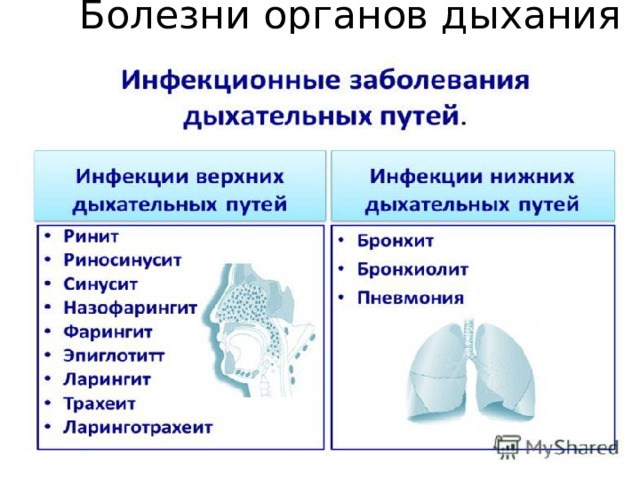 Болезни органов дыхания 