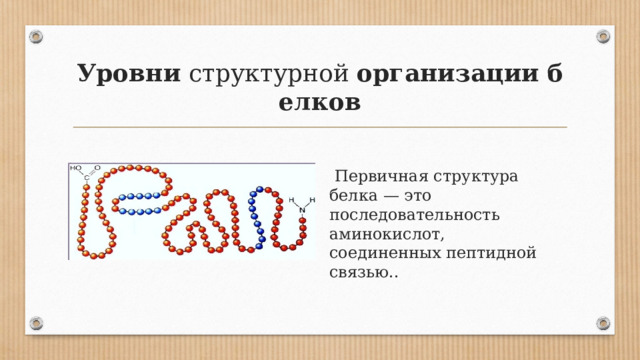 Уровни  структурной  организации   белков  Первичная структура белка — это последовательность аминокислот, соединенных пептидной связью.. 