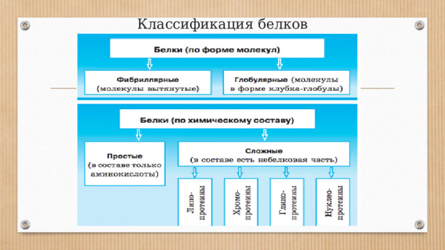 Классификация белков 